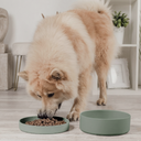 3-in-1 Silicone Food Bowl with Lid