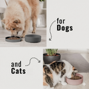 3-in-1 Silicone Food Bowl with Lid