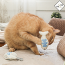 Catnip Cat Toys