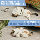 Catnip Cat Toys
