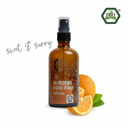 Organic Air Freshener Orange