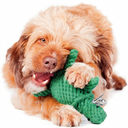 Tina Turtle | Dog Toy