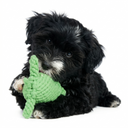 Tina Turtle | Dog Toy