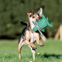 Tina Turtle | Dog Toy